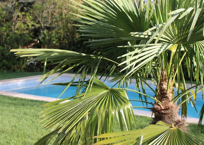 Mas Les Romarins, 10 Min D'Uzes, Piscine Et Grand Jardin Clos, Jeux, Nid De Repos Et Base Pour Activites Dans Le Gard (Adults Only)